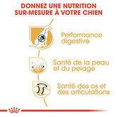 Royal Canin German Shepherd Adult 11 Kg
